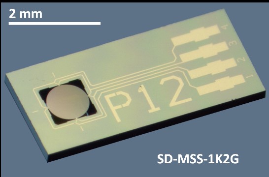 NANOSENSORS™ Membrane-type Surface-stress Sensor MSS for gas and odor sensing